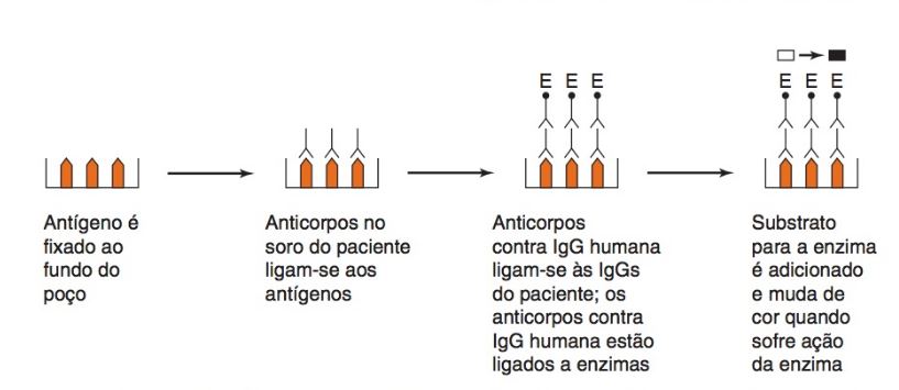 Ensaio imunoadsorvente ligado à enzima (ELISA)
