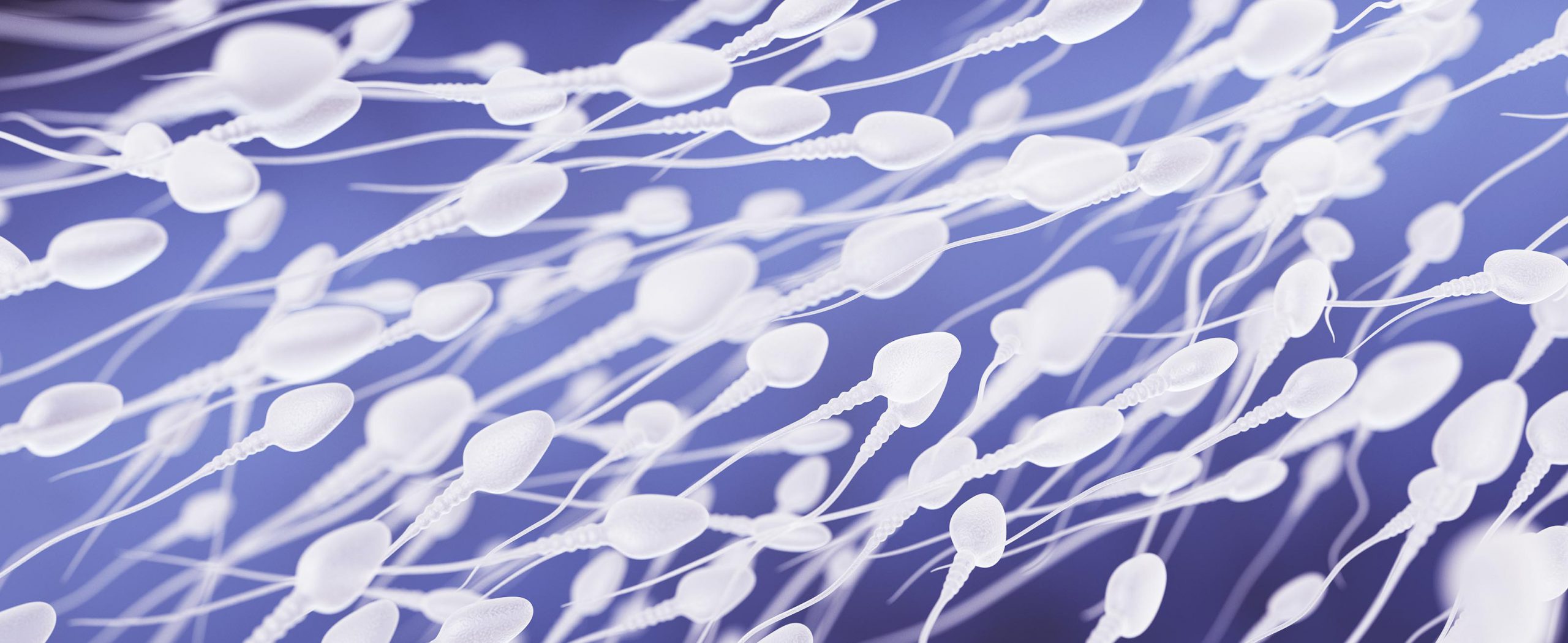 Espermograma Infertilidade, Composição do Sêmen e outras Infecções