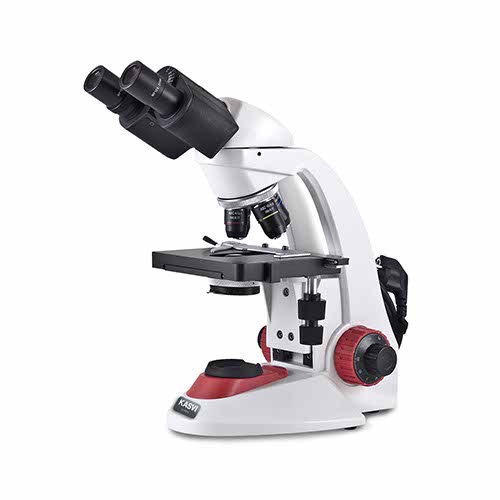 Microscópio biológico binocular série red
