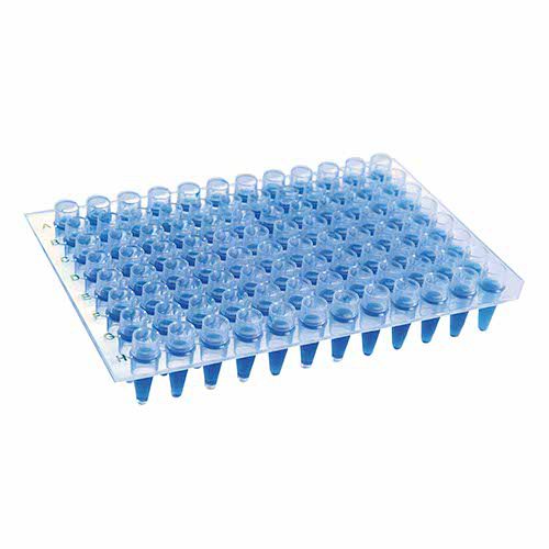 Microplacas para PCR