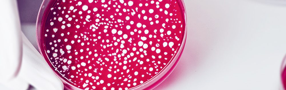 Microbiologia