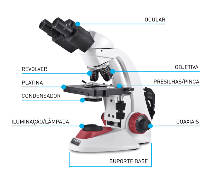 O Que é Microscopio