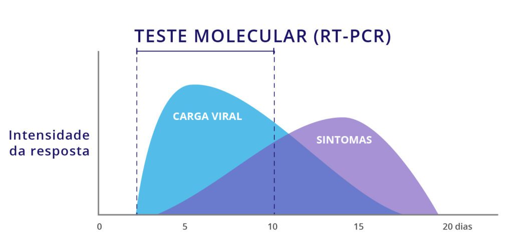 teste molecular rt-pcr período